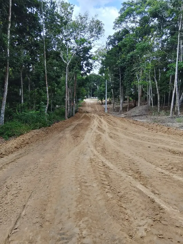 Via em terra recém-aberta por terraplenagem entre árvores